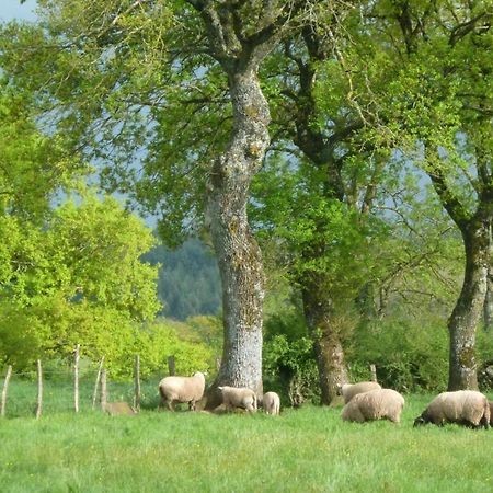 Maison De Campagne Ideale Pour Familles, Cavaliers, Animaux Acceptes, Avec Jardin Clos Et Tout Equipe. - Fr-1-489-172 Villa Barrais-Bussolles Exterior foto